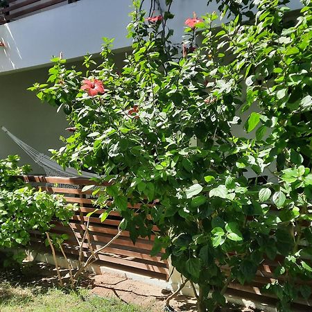 Casa Betti Jijoca de Jericoacoara Exterior foto