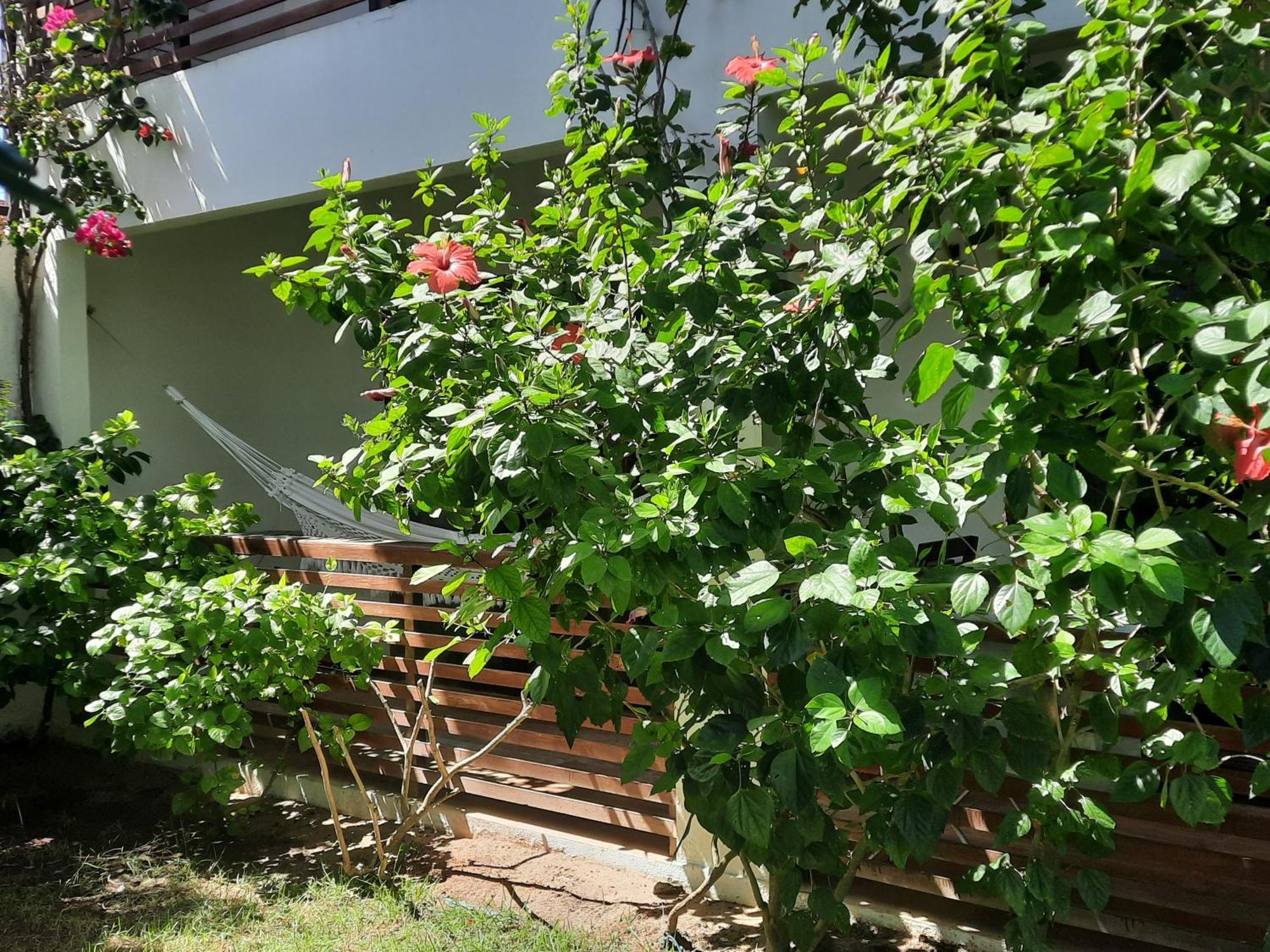 Casa Betti Jijoca de Jericoacoara Exterior foto